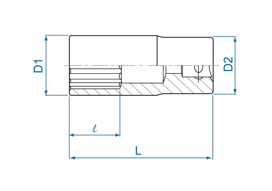 Socket Largo 1/2" x 20 mm 12 Puntas