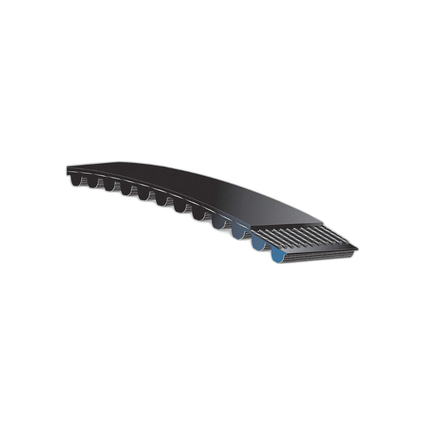 Correa de Tiempo Tipo 8M 1280-8M30 | Continental