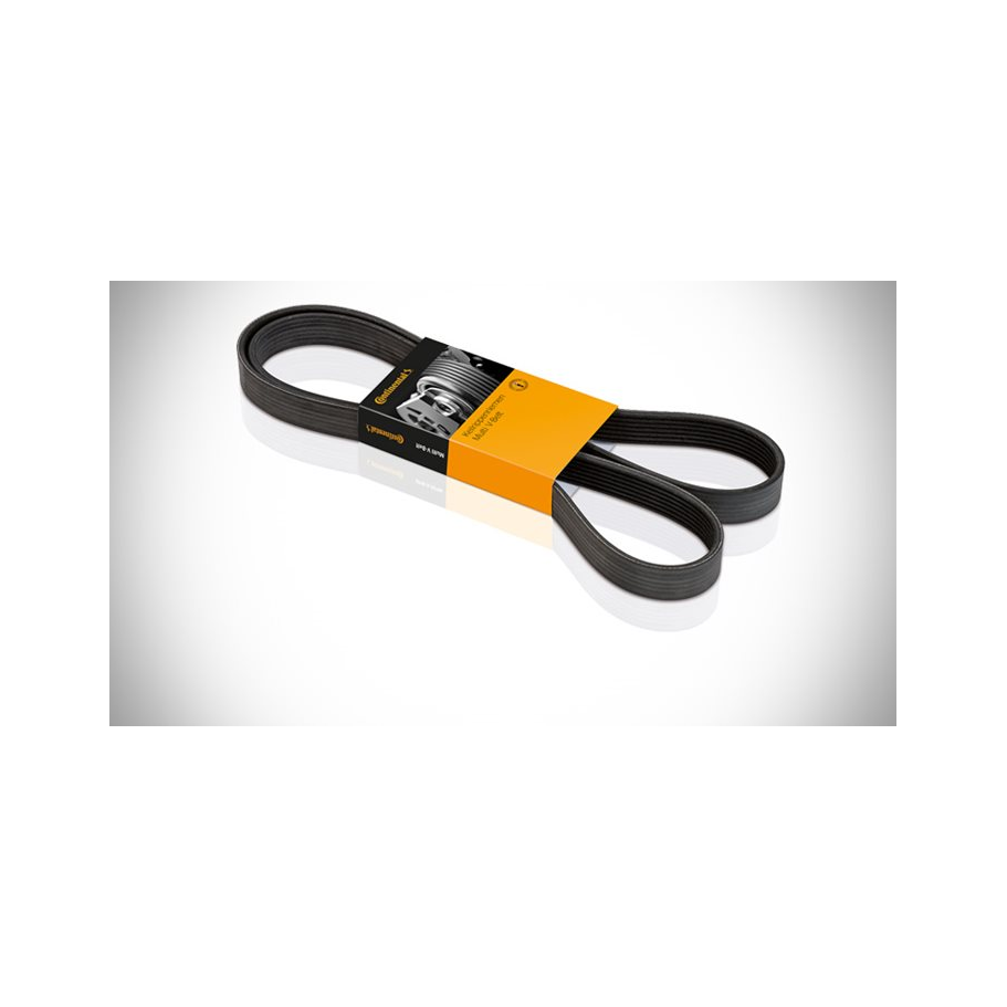 Correa Automotriz 4Pk1010 | Continental