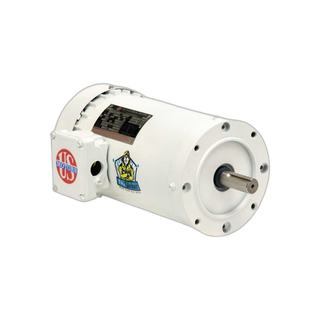 Motor Electrico Trifasico 1 HP, 1725 Rpm, Frame 143Tc, Washguard | US Motors