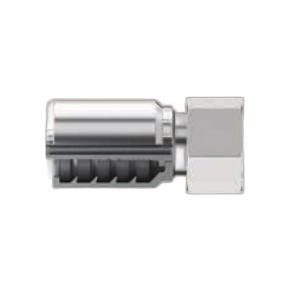 Conexión Hid. Bspp Hembra Giratoria 1_1/4" Para Manguera 1_1/4" | Continental
