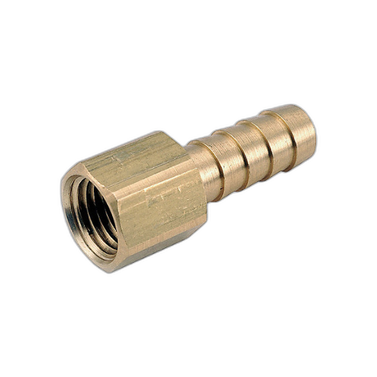 Conexion Rapida Para Compresor X Rosca Hembra 1" | Campbell