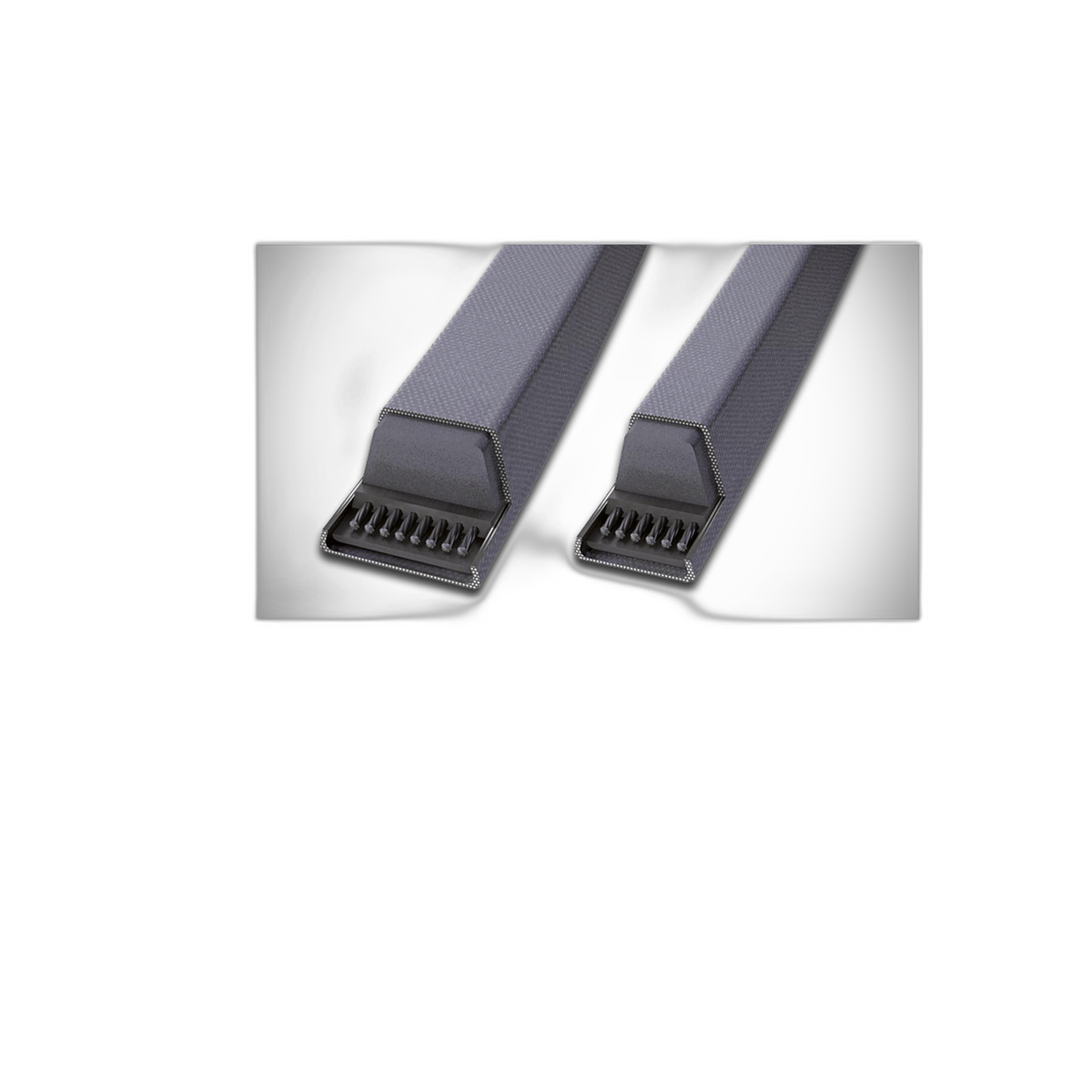 Correas en V B116 | Continental