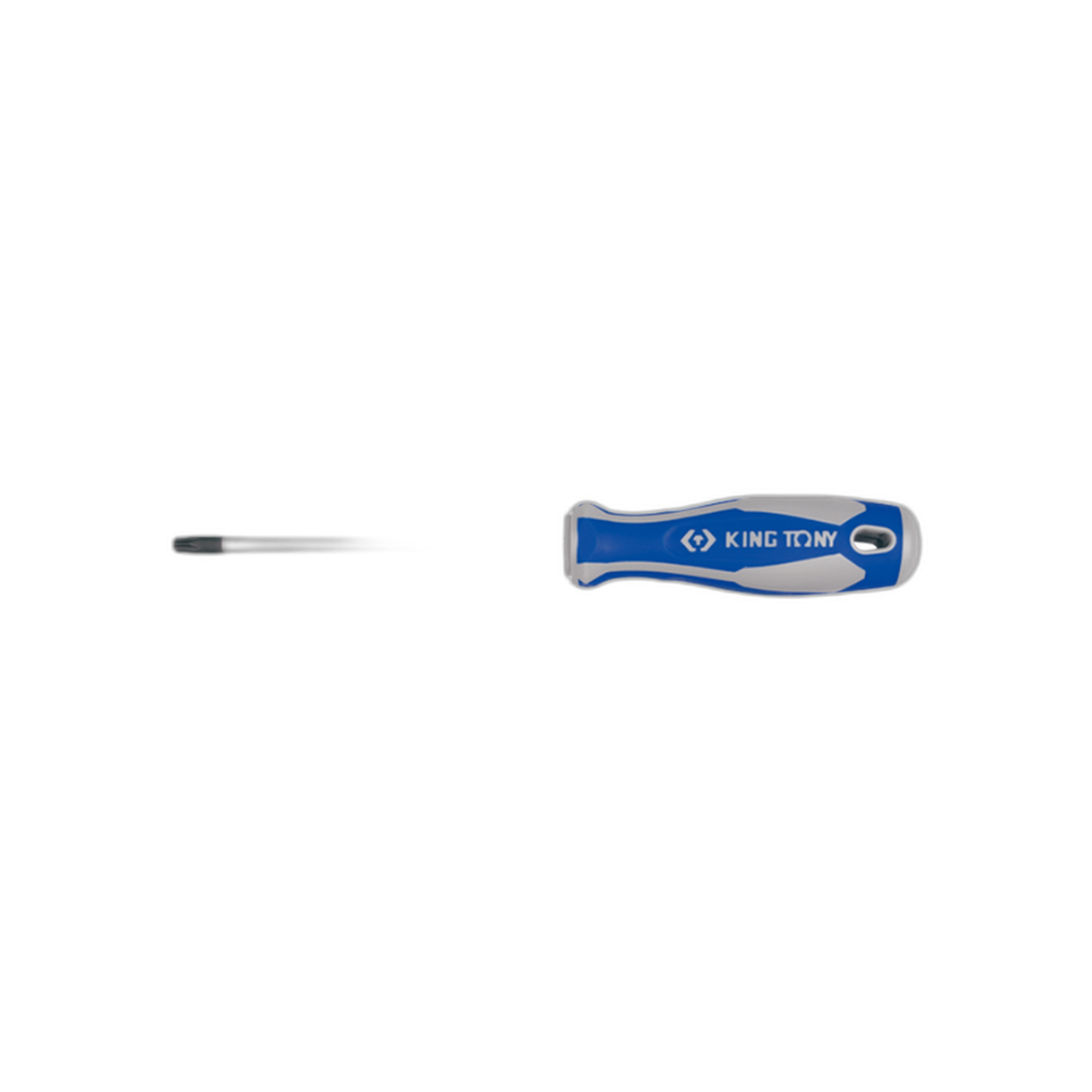 DESTORNILLADOR TORX T-30X5 (14273005) | Genérico