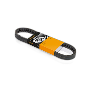 Correa Automotriz Tipo 22550 | Continental