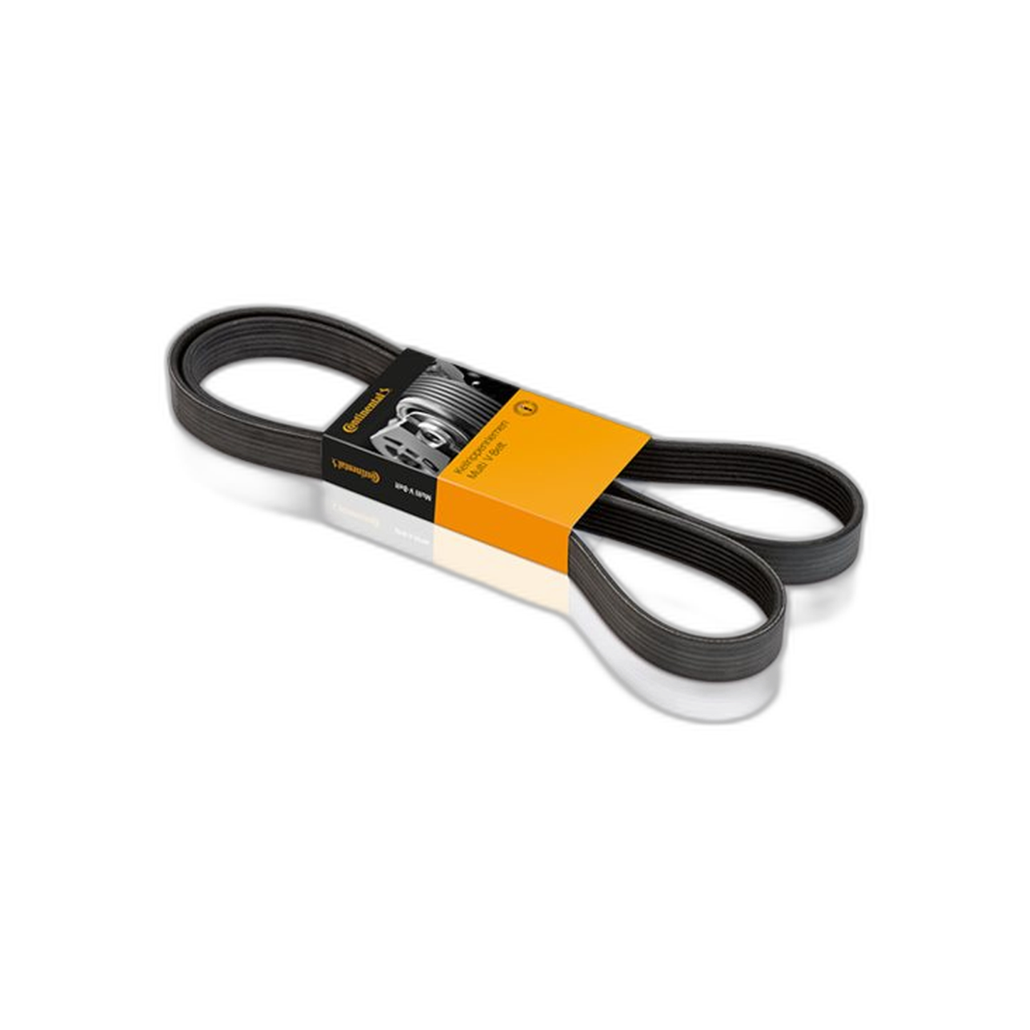 Correa Automotriz 8Pk1075 | Continental