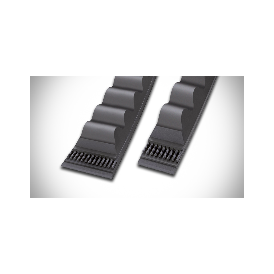 Correas Dentadas Tipo 3VX355 | Continental